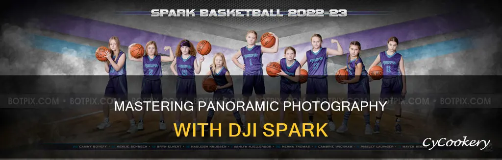 how to take pano picture with spark