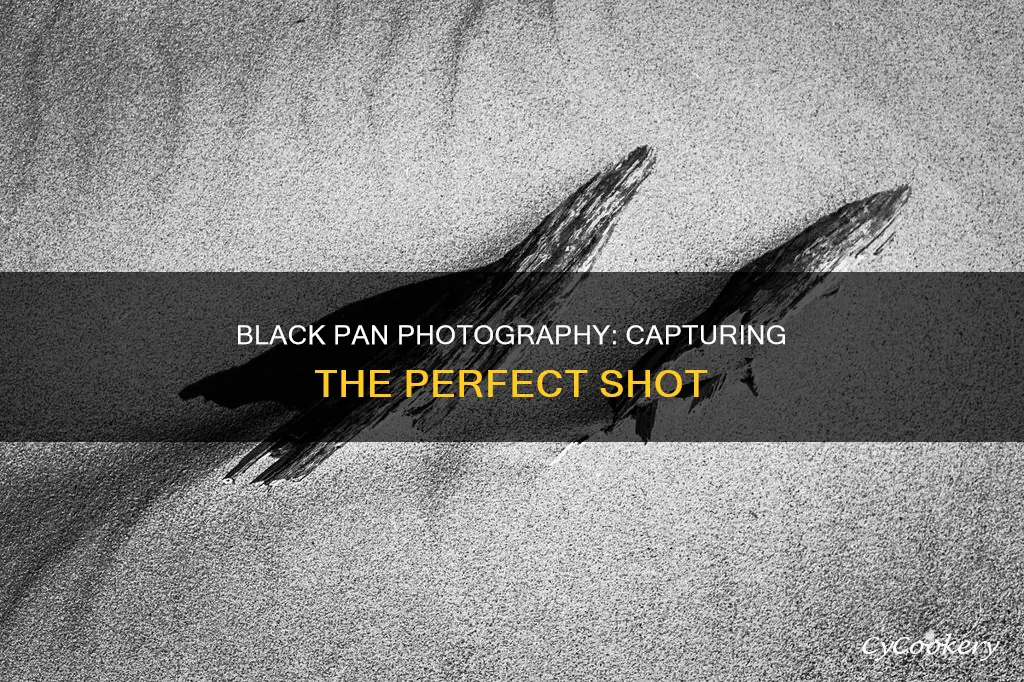 how to take picture of black pan surface
