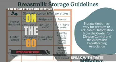 On-the-Go Breast Milk Storage: Tips for Busy Moms