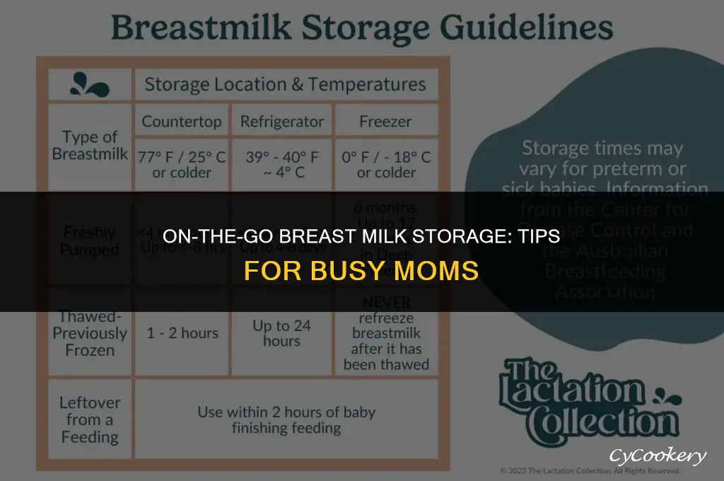 how to take refrigerated breast milk on the go