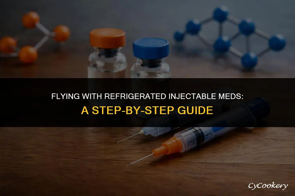how to take refrigerated injectable medication on a plane
