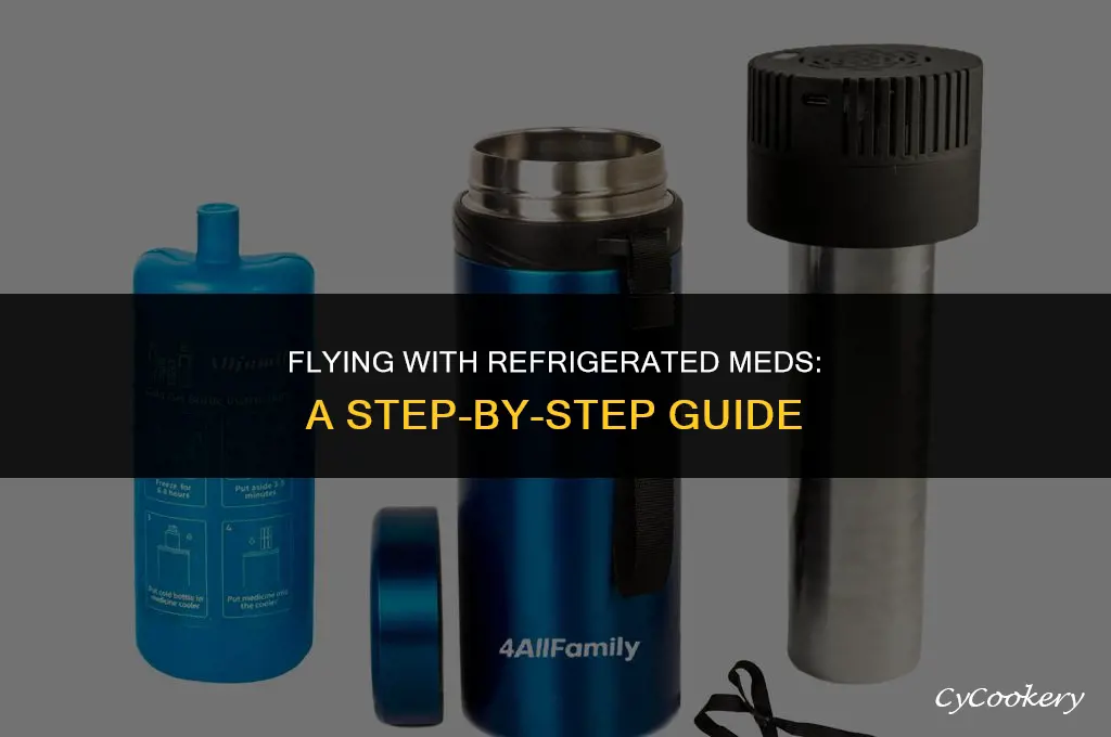 how to take refrigerated medicine on a flight
