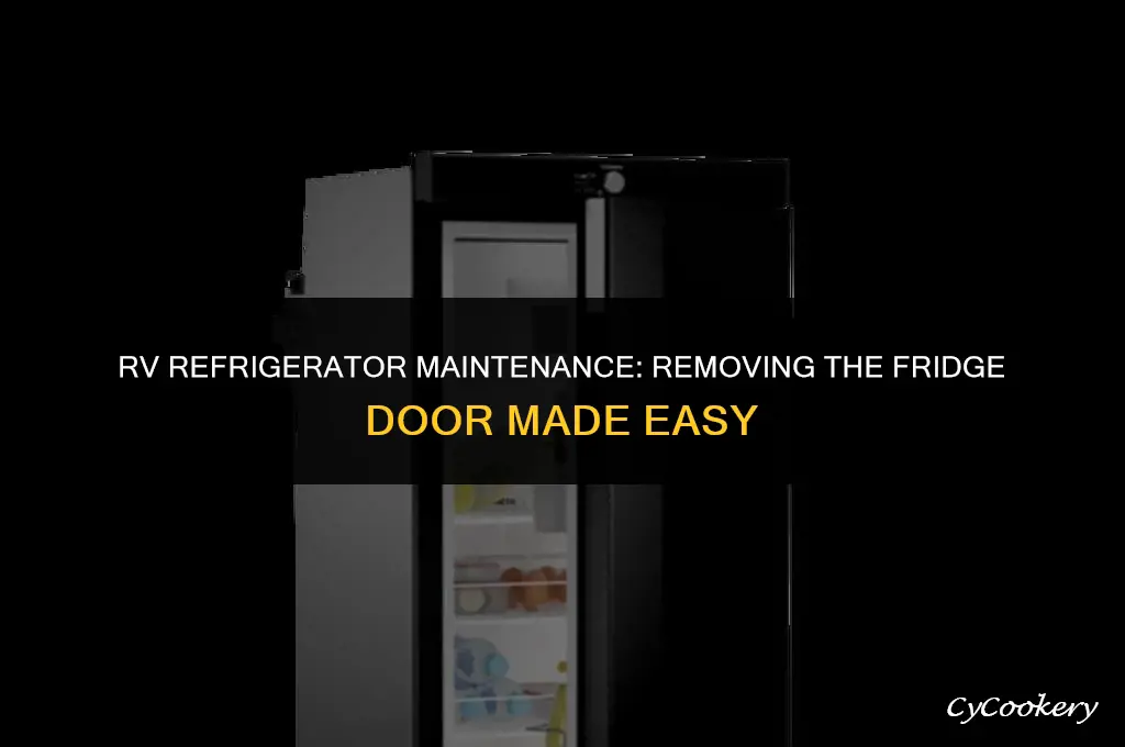 how to take refrigerator door off rv refrigerator