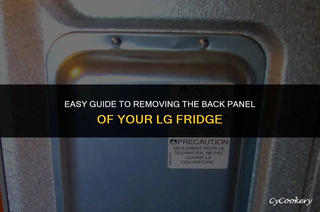 how to take the back off an lg refrigerator