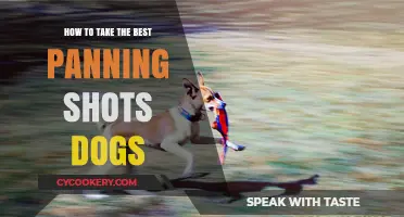 Capturing Panning Shots of Dogs: Tips and Tricks