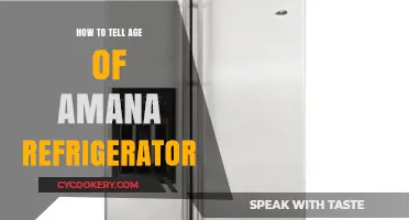Determining Your Amana Refrigerator's Age: A Simple Guide