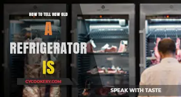 Determining Your Refrigerator's Age: A Simple Guide to Check