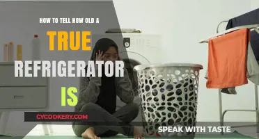 Decoding the Age of Your Trusty Fridge: A Simple Guide