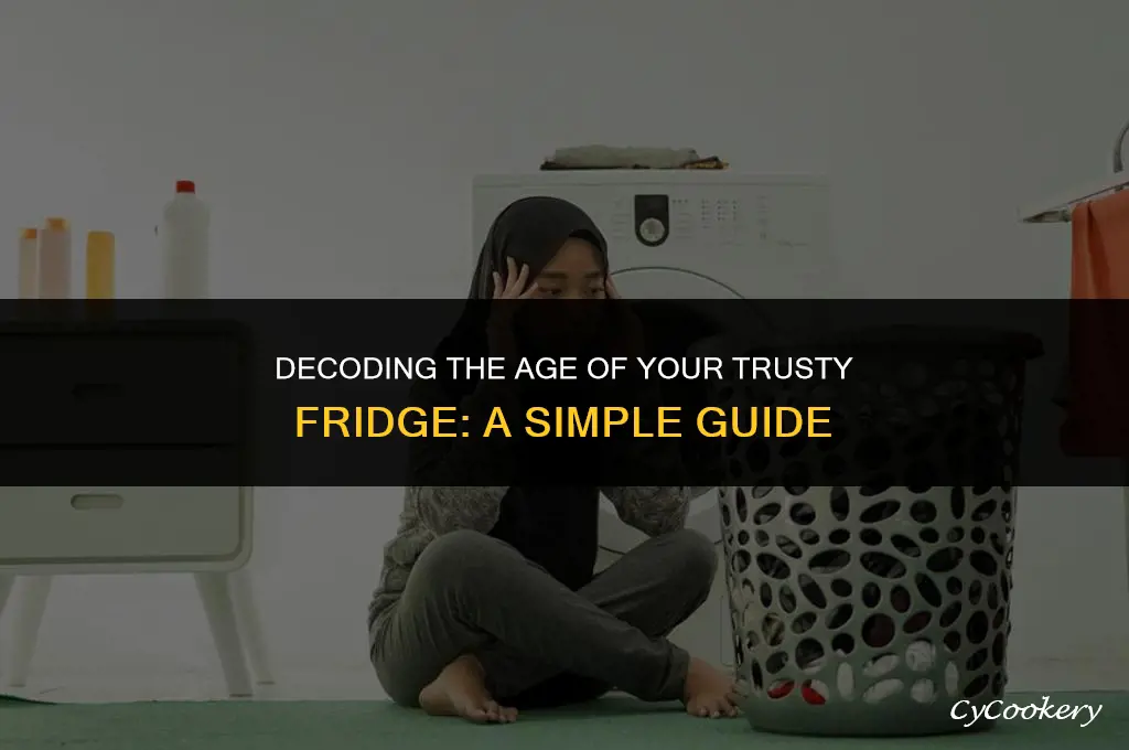 how to tell how old a true refrigerator is
