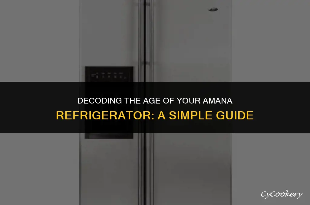 how to tell how old an amana refrigerator is