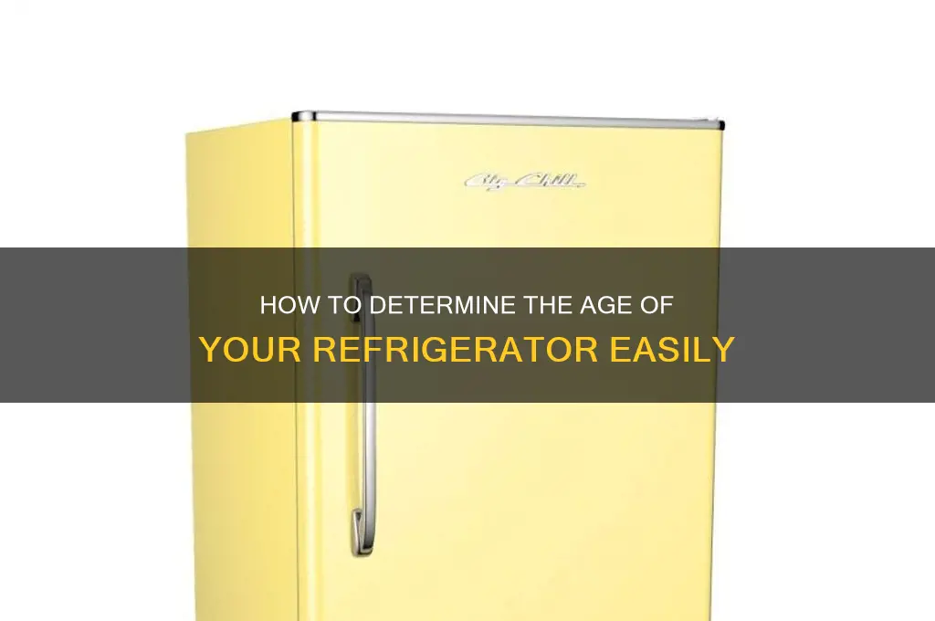 how to tell how old refrigerator is