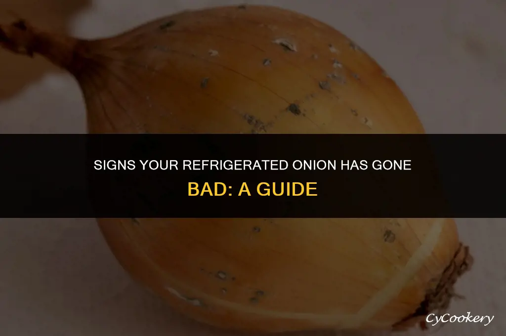 how to tell if a refrigerated onion is bad