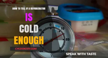 Chill Check: Ensuring Your Fridge is Cold Enough