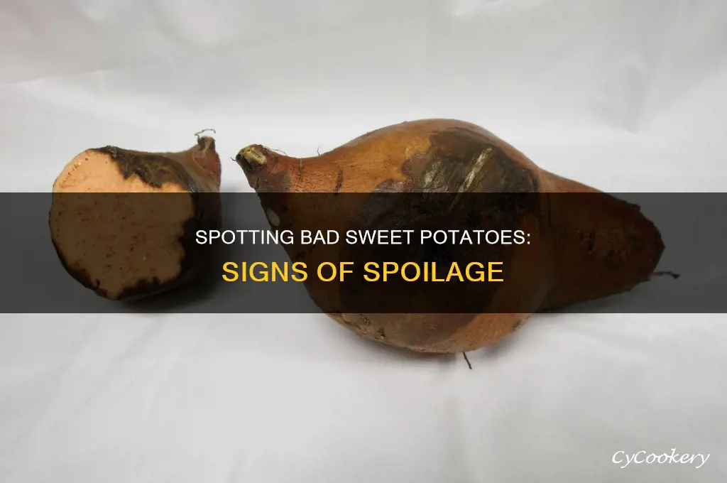 how to tell if cooked sweet potoes have gone bad