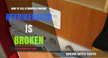 Diagnosing Damage: Signs Your Dropped Propane Fridge Is Broken