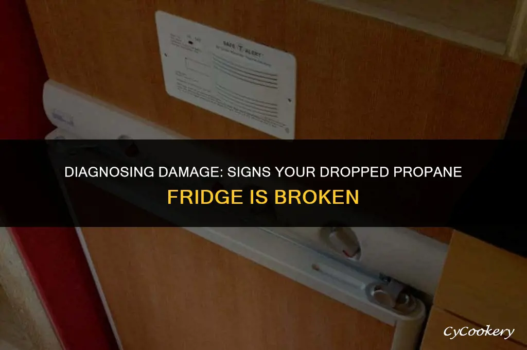 how to tell if dropped propane refrigerator is broken