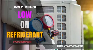 Chill Check: Signs Your Fridge Needs a Refrigerant Refill