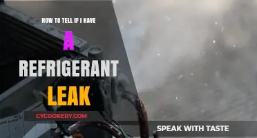 Chill Out: Spotting the Signs of a Refrigerant Leak