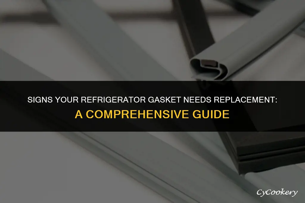 how to tell if my refrigerator gasket is bad