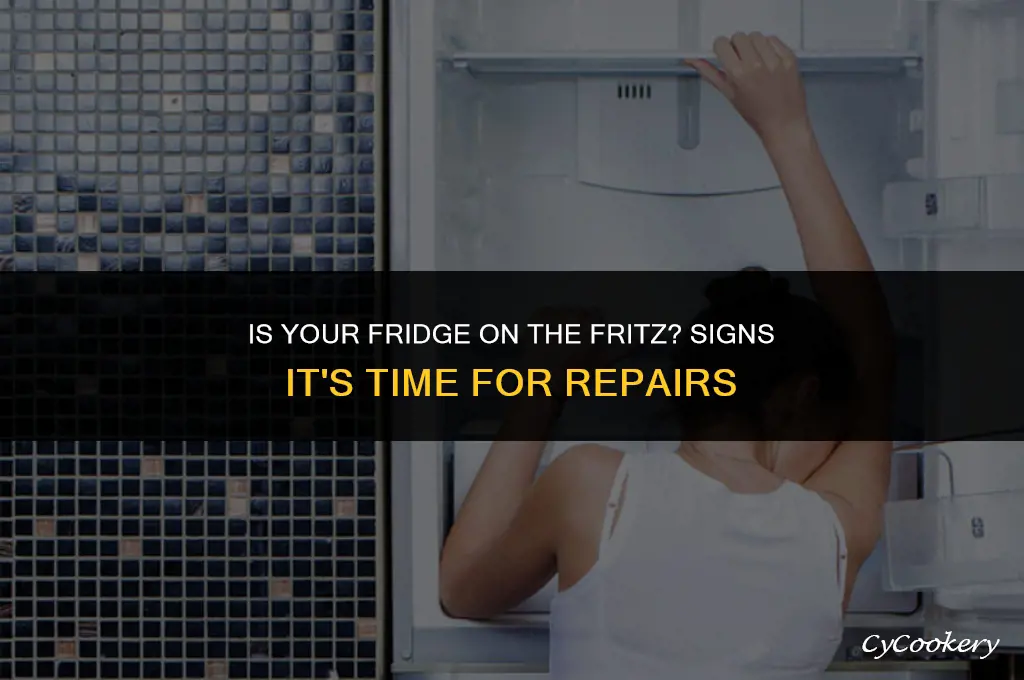 how to tell if my refrigerator is broken