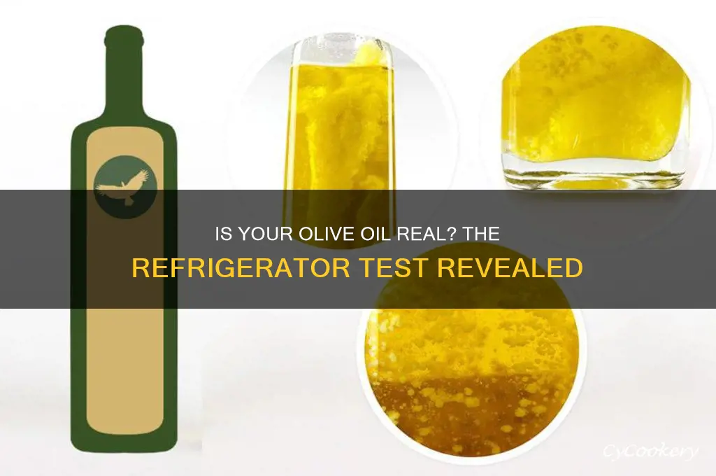 how to tell if olive oil is real refrigerator