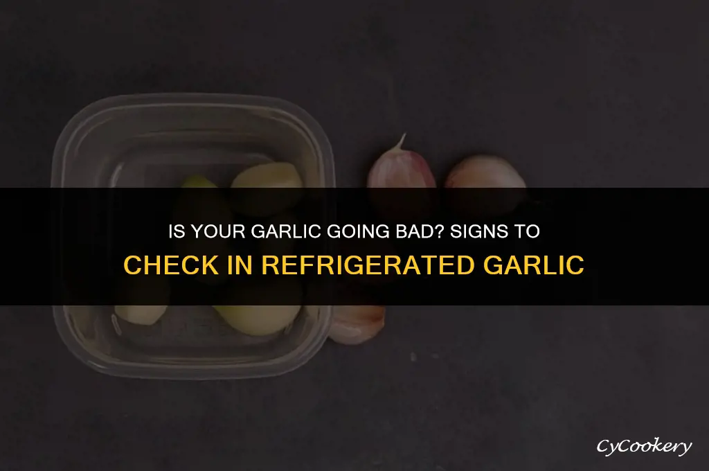 how to tell if refrigerated garlic is bad