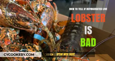 Fresh or Not? A Guide to Checking Refrigerated Live Lobster Quality