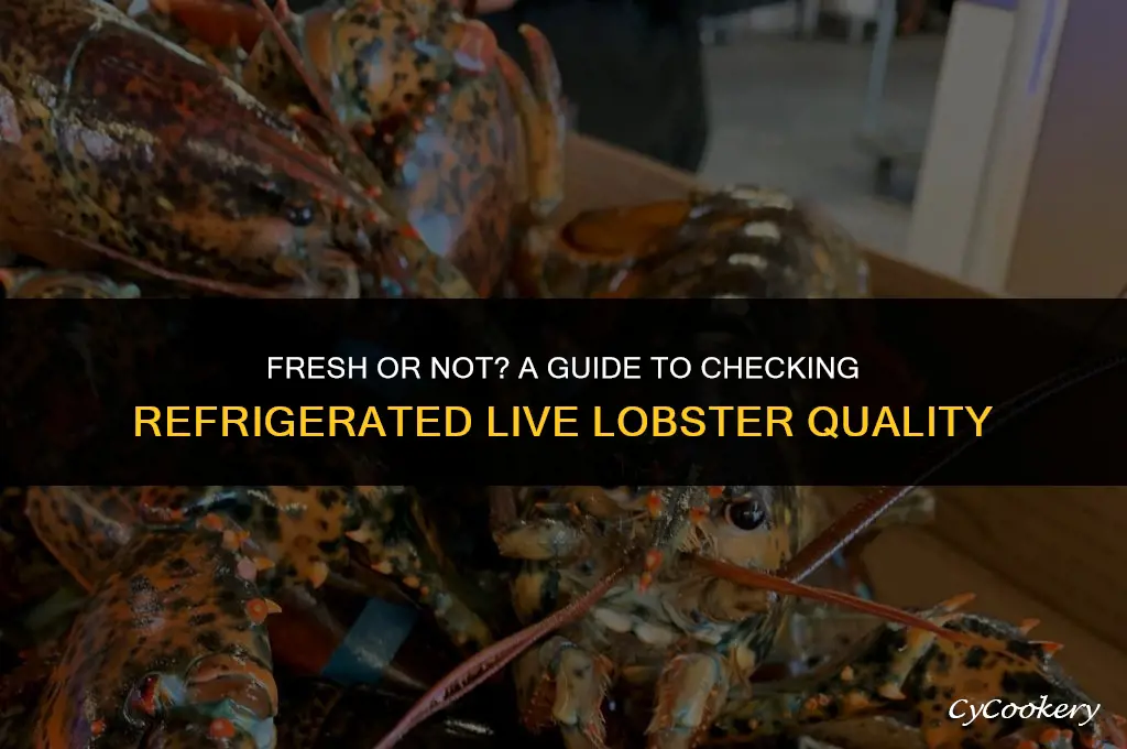 how to tell if refrigerated live lobster is bad