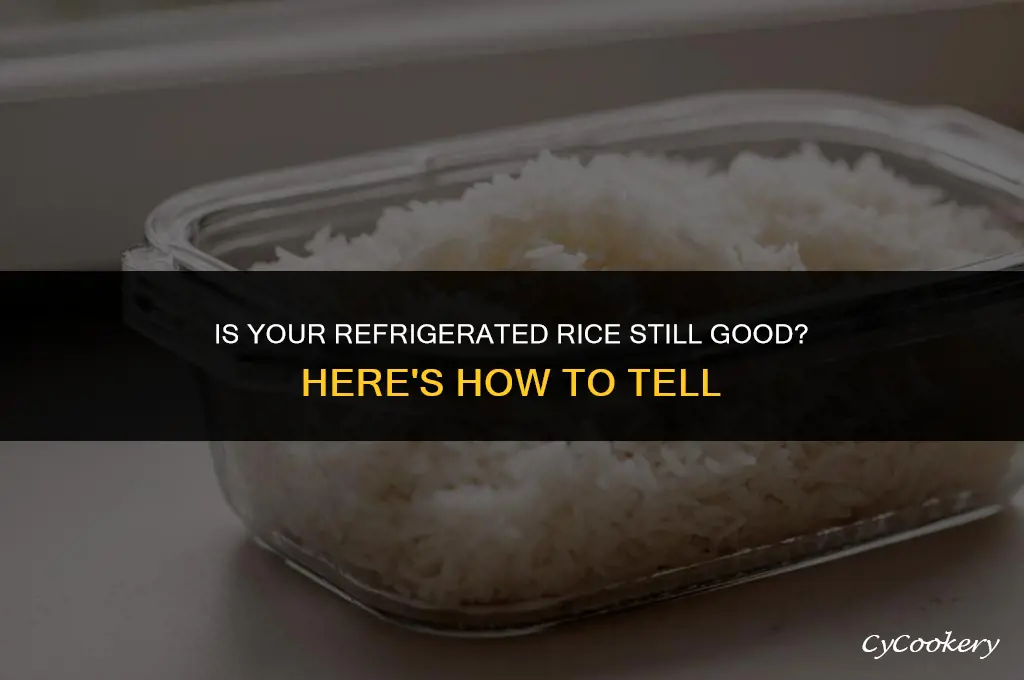 how to tell if refrigerated rice is bad