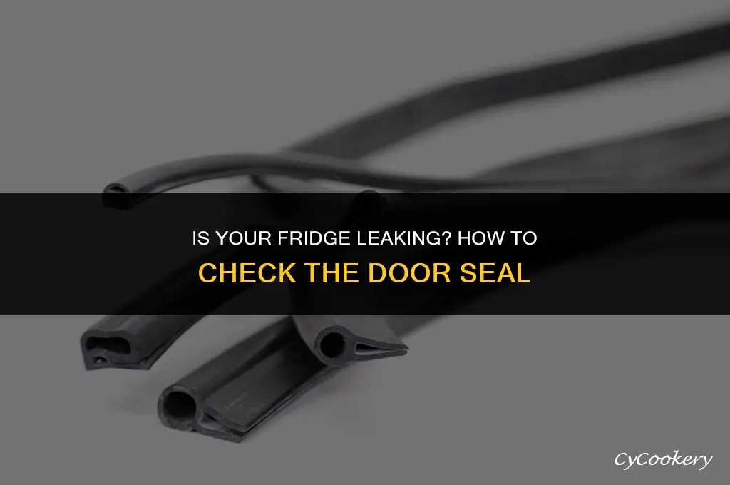 how to tell if refrigerator door seal is bad