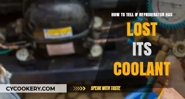 Chill Check: Signs Your Refrigerator Needs Coolant Recharge