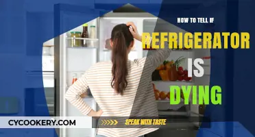 Signs Your Refrigerator is Failing: How to Spot the Warning Signals