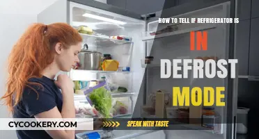 Is Your Fridge Defrosting? Signs to Look Out For