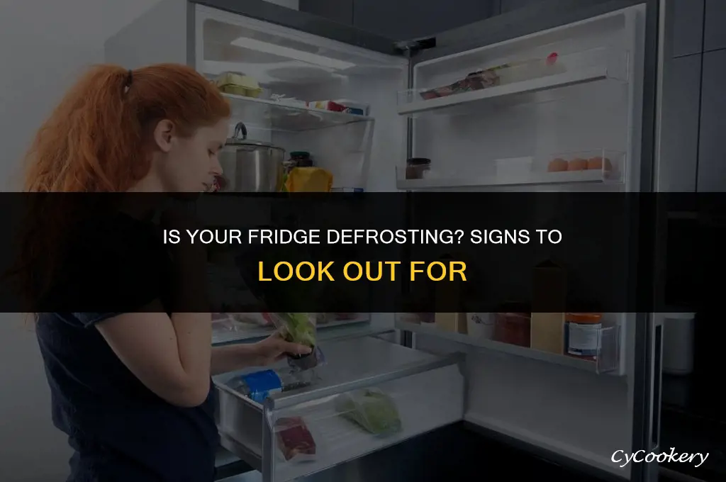 how to tell if refrigerator is in defrost mode