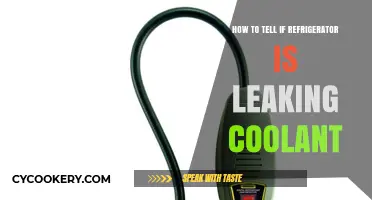 Chill Check: Signs Your Refrigerator Might Be Leaking Coolant