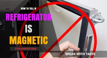 Is Your Fridge Magnetic? Simple Tests to Check Refrigerator Magnetism