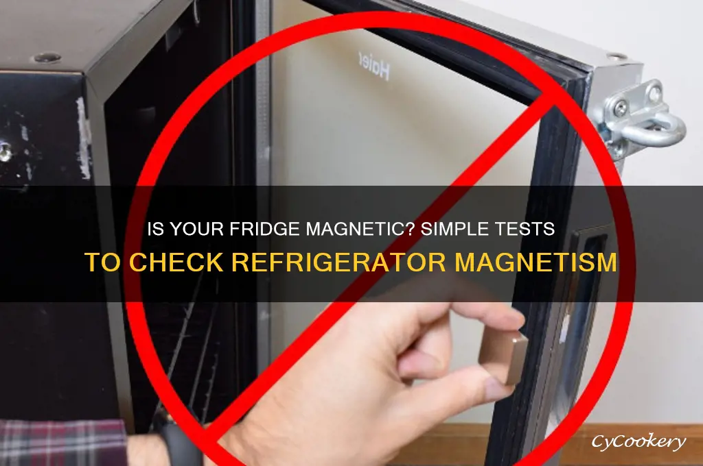 how to tell if refrigerator is magnetic