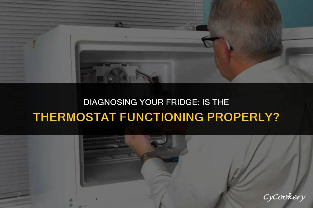 how to tell if refrigerator thermostat is working