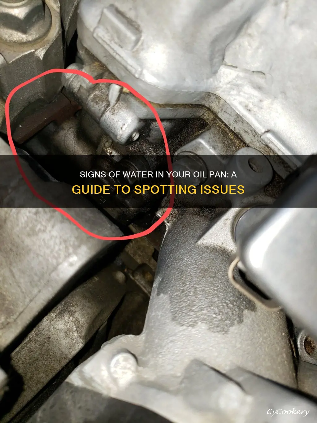 how to tell if water in oil pan