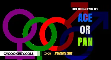 Sexuality: Understanding Ace and Pan Attractions
