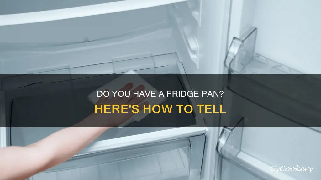 how to tell if you have a fridge pan