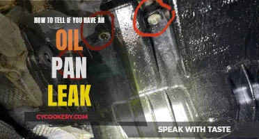 Spotting Oil Pan Leaks: What Car Owners Should Know