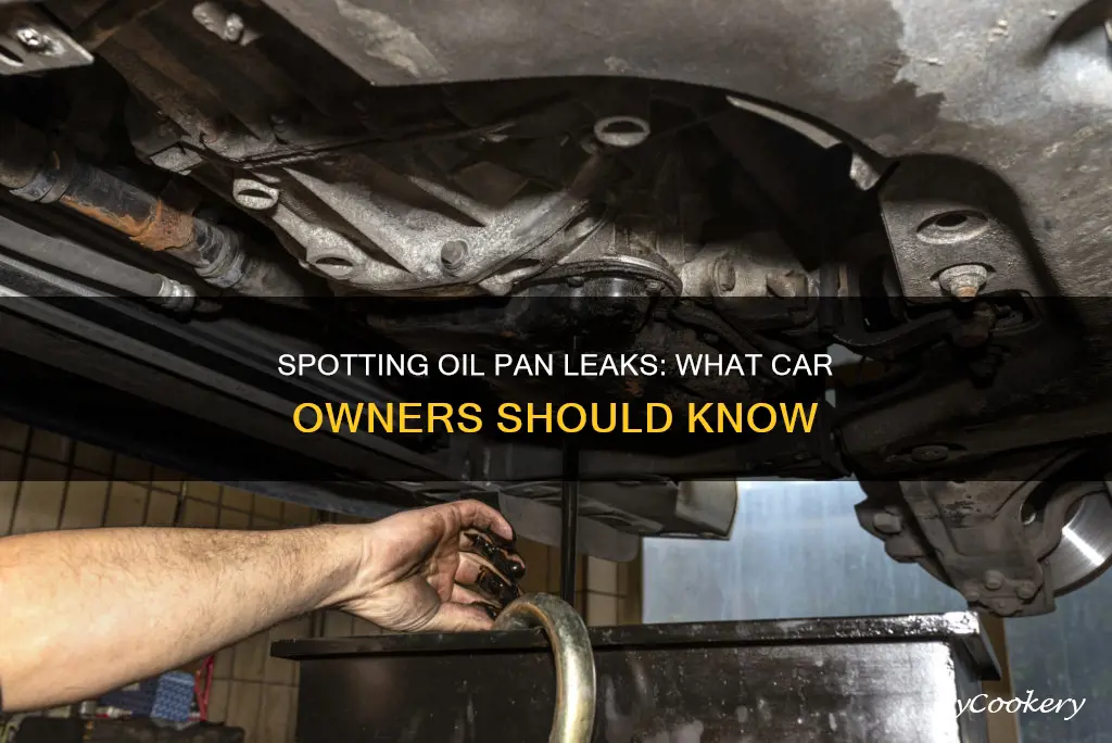 how to tell if you have an oil pan leak