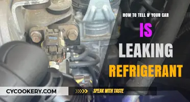 Chill Out: Spotting Signs of Refrigerant Leaks in Your Car