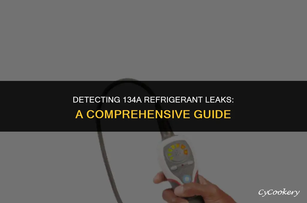 how to tell if your leaking 134a refrigerant