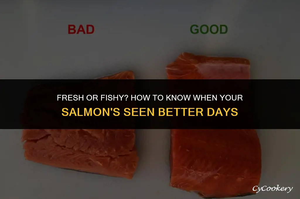 how to tell if your refrigerated salmon is bad