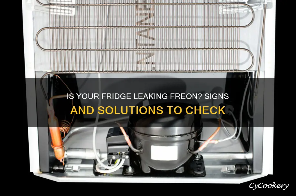 how to tell if your refrigerator is leaking freon