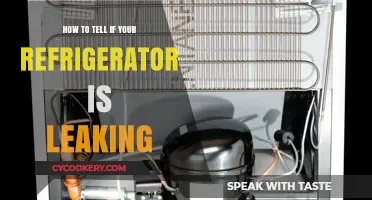 Chill Check: Signs Your Fridge Might Be Leaking