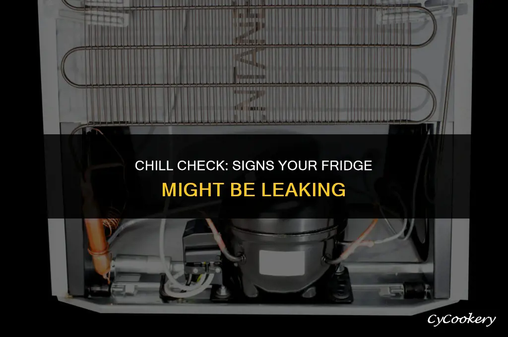 how to tell if your refrigerator is leaking