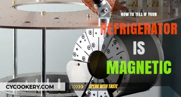 Exploring the Magnetic Nature of Your Refrigerator: A Simple Guide